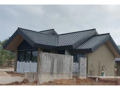 清遠新世界酒店